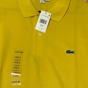 Lacoste polo